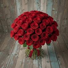Букет 55 Красных роз Фридом #REPLACE_PRED# Малой Пурге