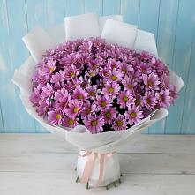 Букет цветов из:  Хризантемы в Малой Пурге