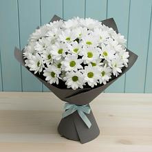 Букет цветов из:  Хризантемы в Малой Пурге