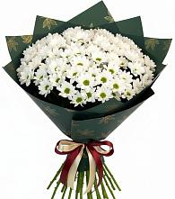 Букет цветов из:  Хризантемы в Малой Пурге