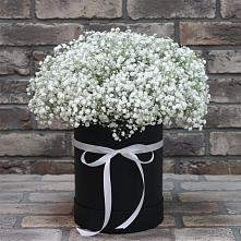 Цветочная композиция из Гипсофила в шляпной коробке #REPLACE_PRED# Малой Пурге
